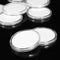 10Pcs Zodiac Commemorate Coin Silver Dollar Coin Collection Round Box 29mm-39mm Coin Holder