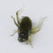 ZANLURE 50pcs/set 2.5cm 0.6g Soft Lure Artificial Cricket Bait Fishing Lure Insect Bait