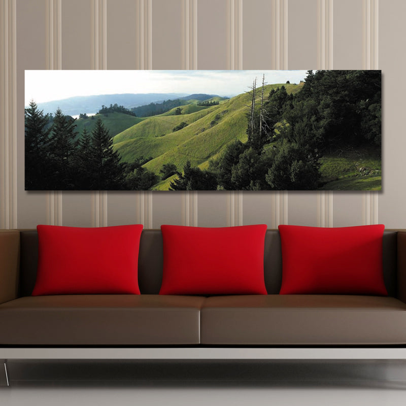 DYC 10560 Single Spray Oil Paintings Photography Mountains Landscape For Home Decoration Paintings Wall Art
