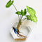 Wall-mounted Hexagon Flower Plant Glass Vase Home Garden Wedding Party Decoration