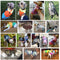 Dog Clothes For Small Dog Windproof Winter Pet Dog Coat Jacket Padded Clothes Puppy Outfit Vest