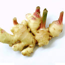 Egrow 100Pcs Ginger Seeds Balcony Vegetables Potted Bonsai Plant Seeds Four Seasons Plants