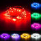 12V 5M 50LED Silver Wire Christmas String Fairy Light Remote Controller with Adapter
