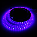 5050 RGB 4M 240LEDS WS2812B Waterproof IP65 LED Strip Light  LED Individual Addressable DC 5V