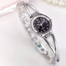 Fashion Women Steel Bracelet Ladies Dress Waterproof Quartz Watch