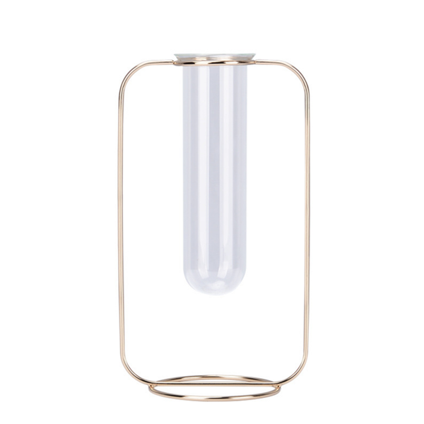 Hydroponic Plants Flower Wrought Iron Vase Decoration Transparent Glass Test Tube Hydroponic Dried Flower Stand