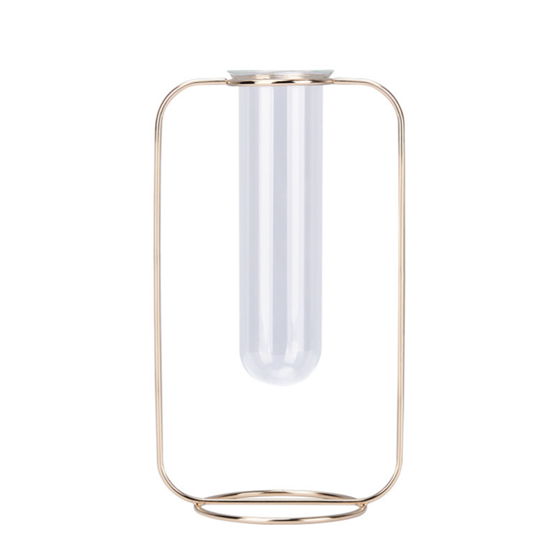Hydroponic Plants Flower Wrought Iron Vase Decoration Transparent Glass Test Tube Hydroponic Dried Flower Stand