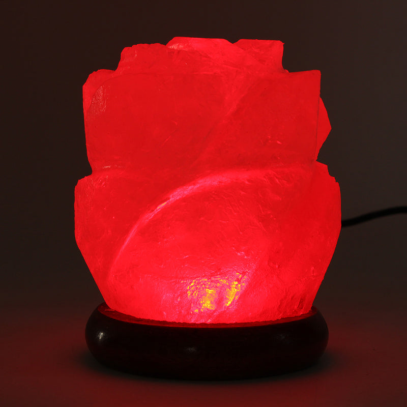 Himalayan Natural Crystal Rose Salt Lamps Bulb Night Light Ionic Purifier Gifts