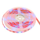 5M SMD5050 Red:Blue 3:1 4:1 5:1 Waterproof LED Strip Grow Plant Light DC12V for Vegetable