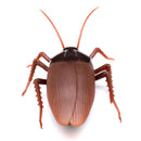 Infrared RC Remote Control Animal Toys Kit Adults Smart Cockroach Ant Jokes Radio Insect for Boys
