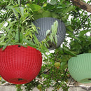 Fashion Plant Hanging Basket Flower Pot Stainless Steel Chain Planter Garden Home Decorations