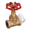 Vintage Steampunk 1/2 Inch Red Handle Stop Valve Light Switch With Wire For Water Pipe Lamp