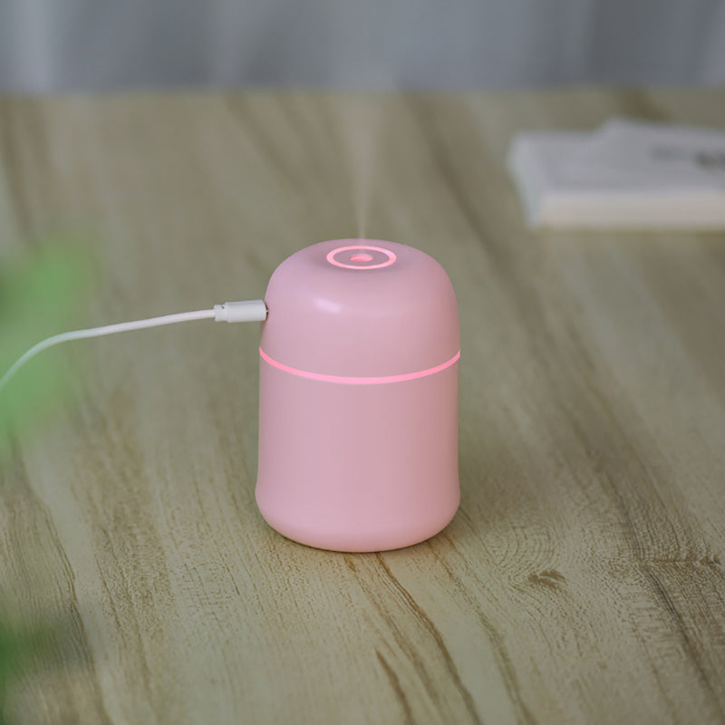 220ML Mini Air Humidifier USB Atomizer Negative Ion Ultrasonic Aromatherapy Air Cleaner Purifier