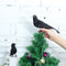 Raven Halloween Party Crow Bird Decorations Prop Stuffed Feather Blackbird Decor