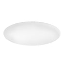 Blitzwolf BW-LT20 24W Smart LED Ceiling Light Mount WiFi APP Control Work with Amazon Echo Google Home AC100-240V