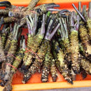 Egrow 300Pcs/Pack Wasabi Seeds Mustard Horseradish Wasabi Vegetable Home Gardening Planting For Perennials Hardy