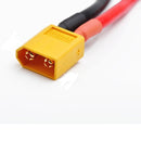 Amass XT60 Plug with 10cm 12AWG Cable AM-9024