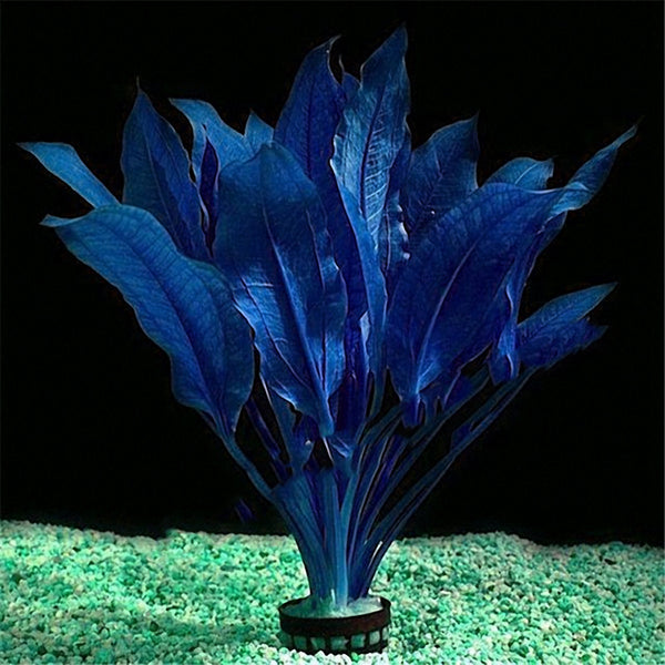 Egrow 200Pcs/Pack Blue Aquarium Plants Seeds Fish Tank Decoration Landscaping Grass Seeds