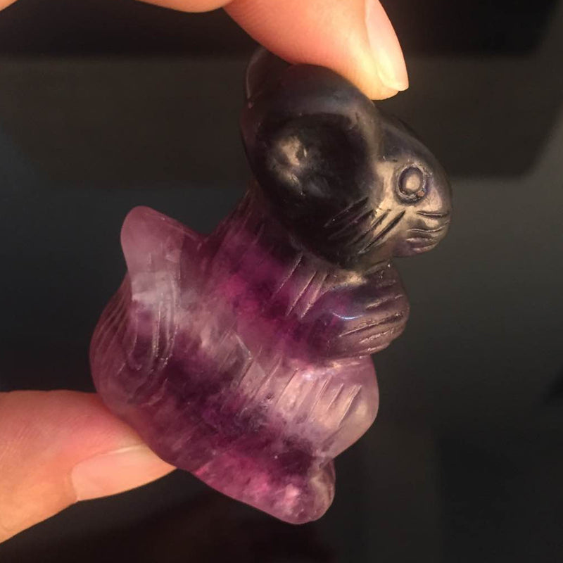 2" Hand Carved Rainbow Fluorite Squirrel Natural Quartz Crystal Skull Healing Decorations