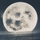 3x5FT Vinyl Moon Star Sea Beach Night Photography Background Backdrop