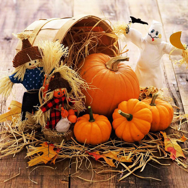 Egrow 50Pcs/Pack Pumpkin Seeds Halloween Decorating Pumpkin Rare Vegetable Bonsai Plant For Home Garden