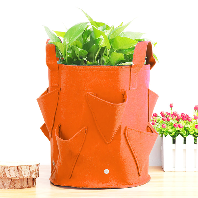 Potato Strawberry Plant Grow Bags Planter Balcony Planting Grow Box  Herbs Vegetables Flower Pot