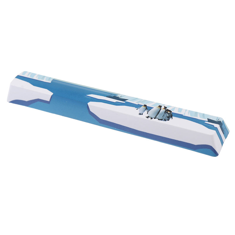 Five-sided Dyesub PBT OEM Profile Antarctic Penguin Space Bar 6.25u Novelty Keycap for GK61 Black Case and Cherry MX Switch Keyboard