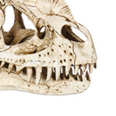 Crafts Dinosaur Resin Skull Fossil Model Home Office Water Aquarium Party Decorations