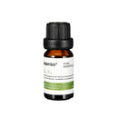 3pcs/6pcs 10ml Pure Natural Plant Extracts Essential Oils Set For Aromatherapy Diffusers Humidifier Air Lavender Tea Tree Lemongrass Rosemary Essential Oil