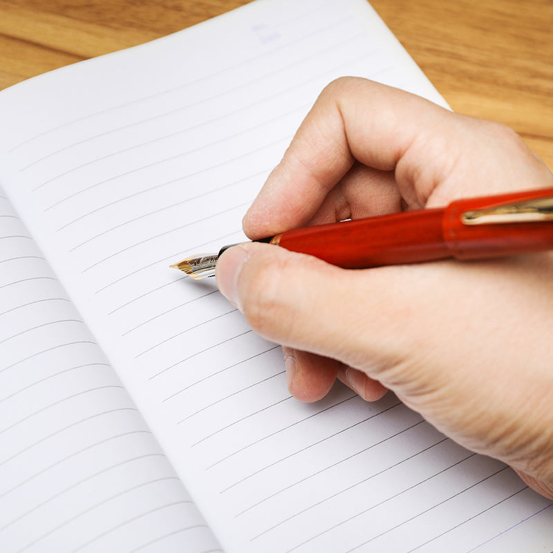 MOONMAN M6 Solid Wood Fountain Pen Office Portable Non-Slip Stationery Study Supplies Gift Box Ink