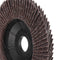 100x16mm Flap Discs Sanding Grinding Polishing Wheel