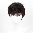 Fashion Short Hair Rose Net High Temperature Silk Chemical Fiber Hood Men's Wig