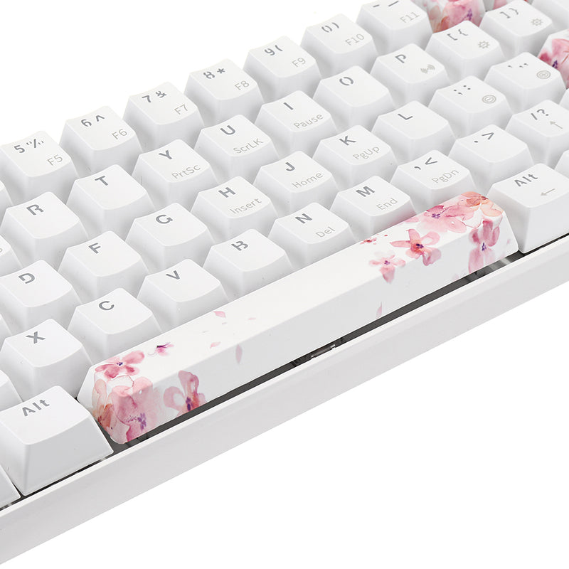 Five-sided Dyesub PBT OEM Profile sakura Space Bar 6.25u Novelty Keycap + ESC Enter Keycaps