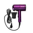 2000W Professional Hair Dryer Hot And Cold Lonic Blow Fast Heating Household Electric Hair Blow Dryer 220V