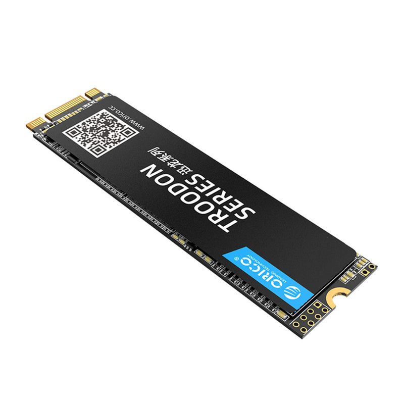 ORICO TROODON N300 Series M.2 NGFF SATA 3.0 SSD Solid State Drive 3D NAND 128G 256G 512G 1T Hard Drive R/W at 560/516 MB/s