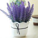 Egrow 200Pcs Provence Lavender Seeds Fragrant Organic Flower Seeds Home Garden Bonsai Plant