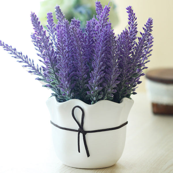 Egrow 200Pcs Provence Lavender Seeds Fragrant Organic Flower Seeds Home Garden Bonsai Plant
