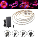 DC12V Non-waterproof 5M Red:Blue 4:1 SMD5050 Full Spectrum LED Strip Grow Light + Power Supply