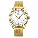 BIDEN 0114 Waterproof Business Style Men Wrist Watch Stainless Steel Band Quartz Watch