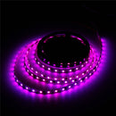 4M WS2811 IC SMD5050 Dream Color RGB Non-Waterproof LED Strip Light Individual Addressable DC12V