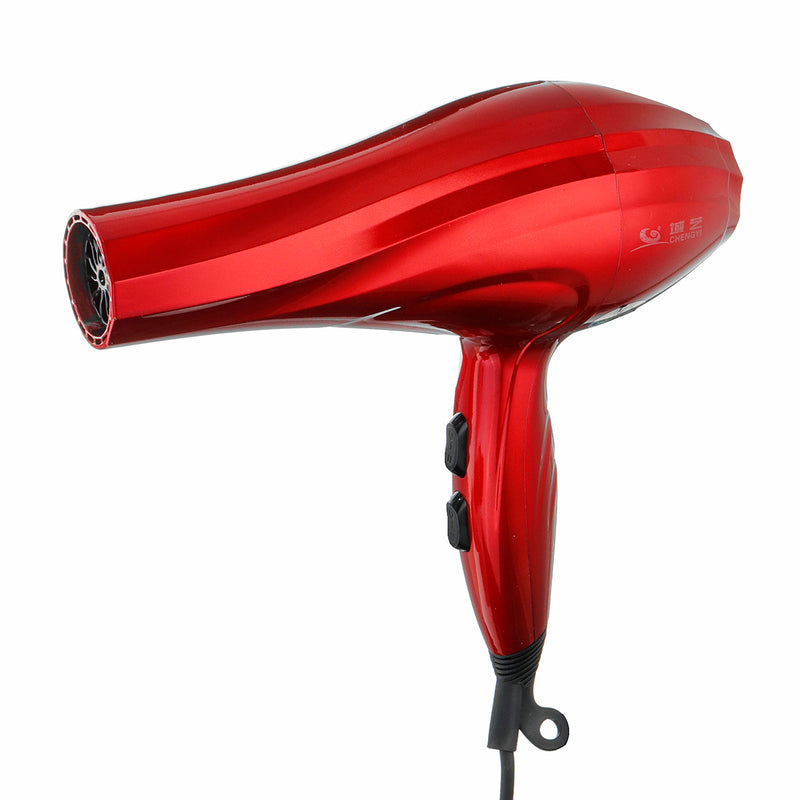 3000W Professional Hair Blow Dryer Blower Diffuser Salon Styling with Nozzles