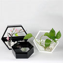 Handmade Acrylic Chlorophytum Flower Pot Scindapsus Hexagon Hanging Wall Decoration