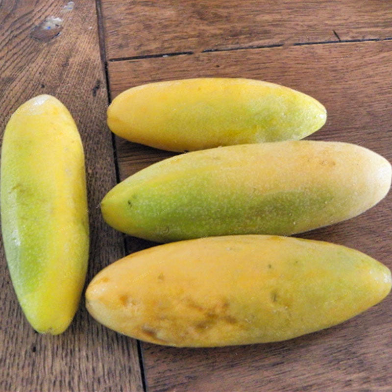 Egrow 50Pcs/Pack Banana Passion Fruit Seeds Tropical Passiflora Bonsai  Garden Family Indoor Bonsai Flower Plants