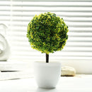 Office Decorative Trees Potted Plant Potted Pot Decorative Decoration