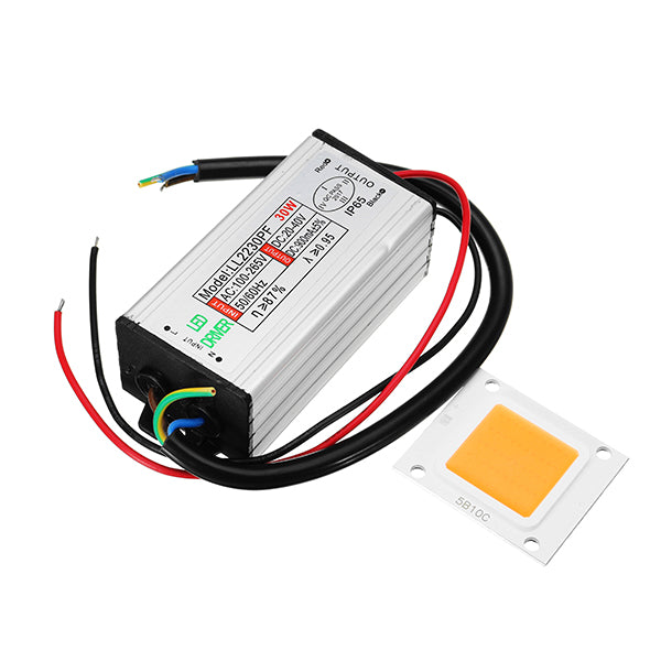 10W 20W 30W 50W 100W LED Plant Grow Light Chip DIY with AC90-240V Driver Power Supply