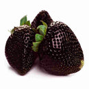 Egrow 200 PCS Black Strawberry Seeds Fresh Exotic Tasty Fruit Potted Seed Garden Bonsai Plant