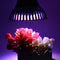 12W E27 PAR38 LED Full Spectrum Coral Reef Plant Grow Light Fish Tank Aquarium