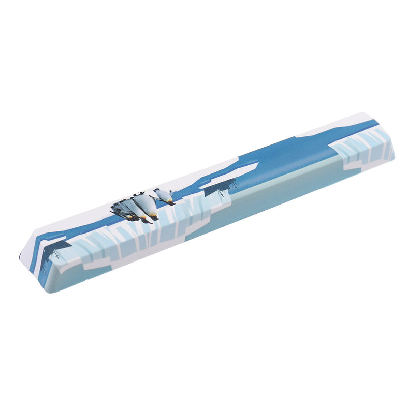 Five-sided Dyesub PBT OEM Profile Antarctic Penguin Space Bar 6.25u Novelty Keycap for GK61 Black Case and Cherry MX Switch Keyboard