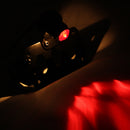 Motorcycle SidE Mount LED License Plate Taillight with Bracket For Harley Sportster