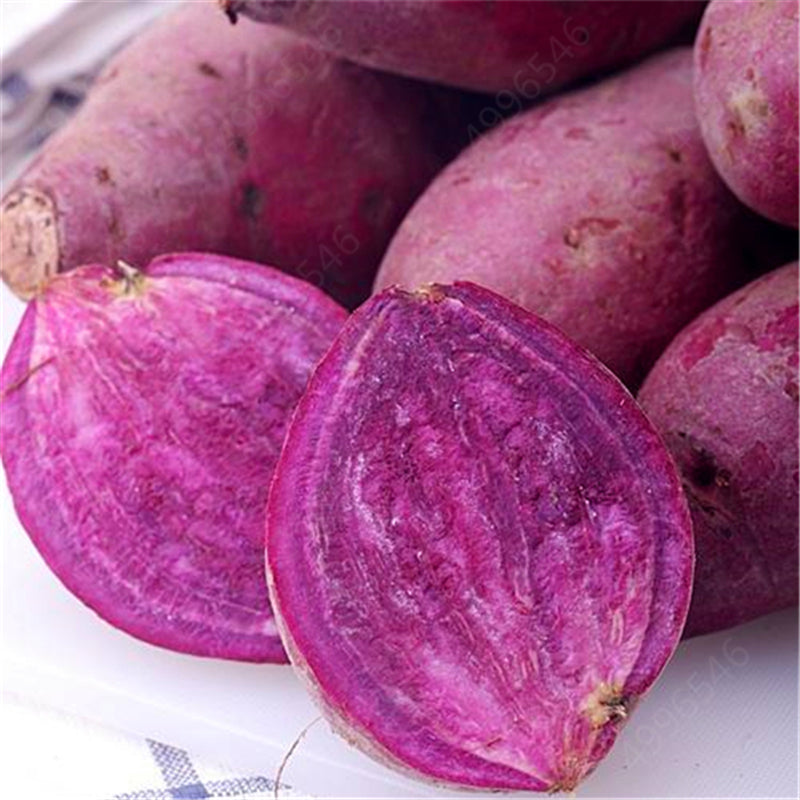 Egrow 100 Pcs/Pack Purple Sweet Potato Seeds Potato Delicious Green Nutrition NO GMO Vegetables Plant Home Garden